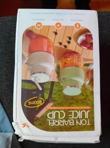 BlendGo 800 photo review