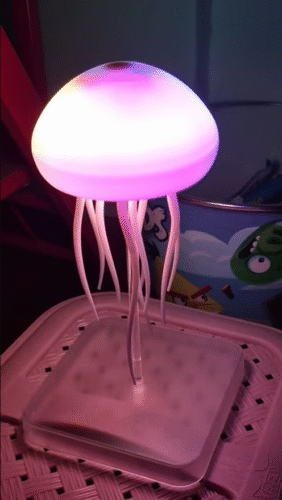 Jellyfish Lamp photo review