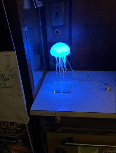 Jellyfish Lamp photo review