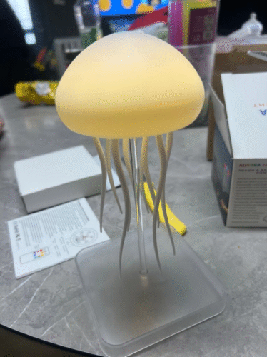 Jellyfish Lamp photo review