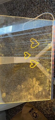 DoodleGlow™️ photo review